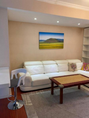 Modern 1-Bedroom Apartment, Fully Furnished & Centrally Located